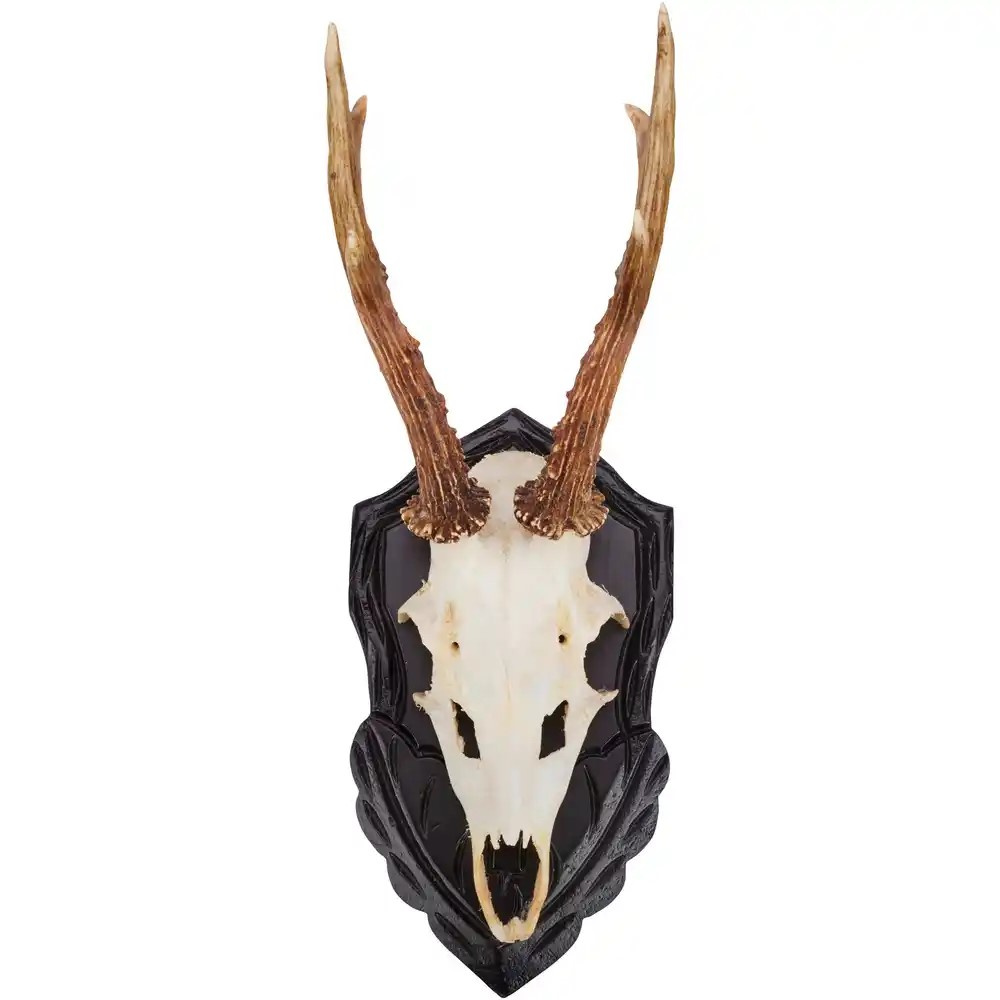 Wald & Forst őzbak trófeaalátét