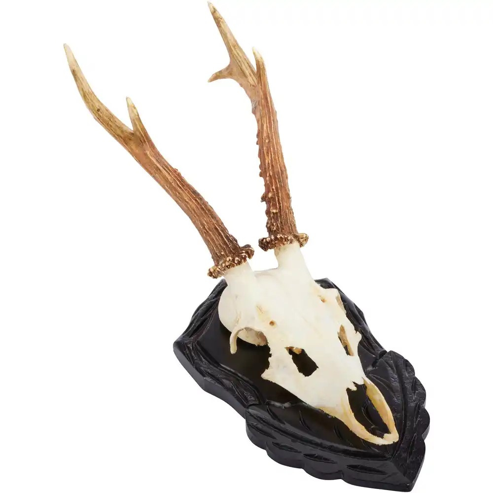 Wald & Forst őzbak trófeaalátét